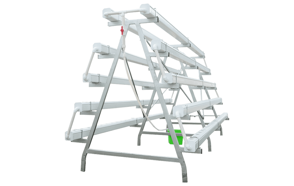 NFT Hydroponic Gardening System for Strawberry & Lettuce