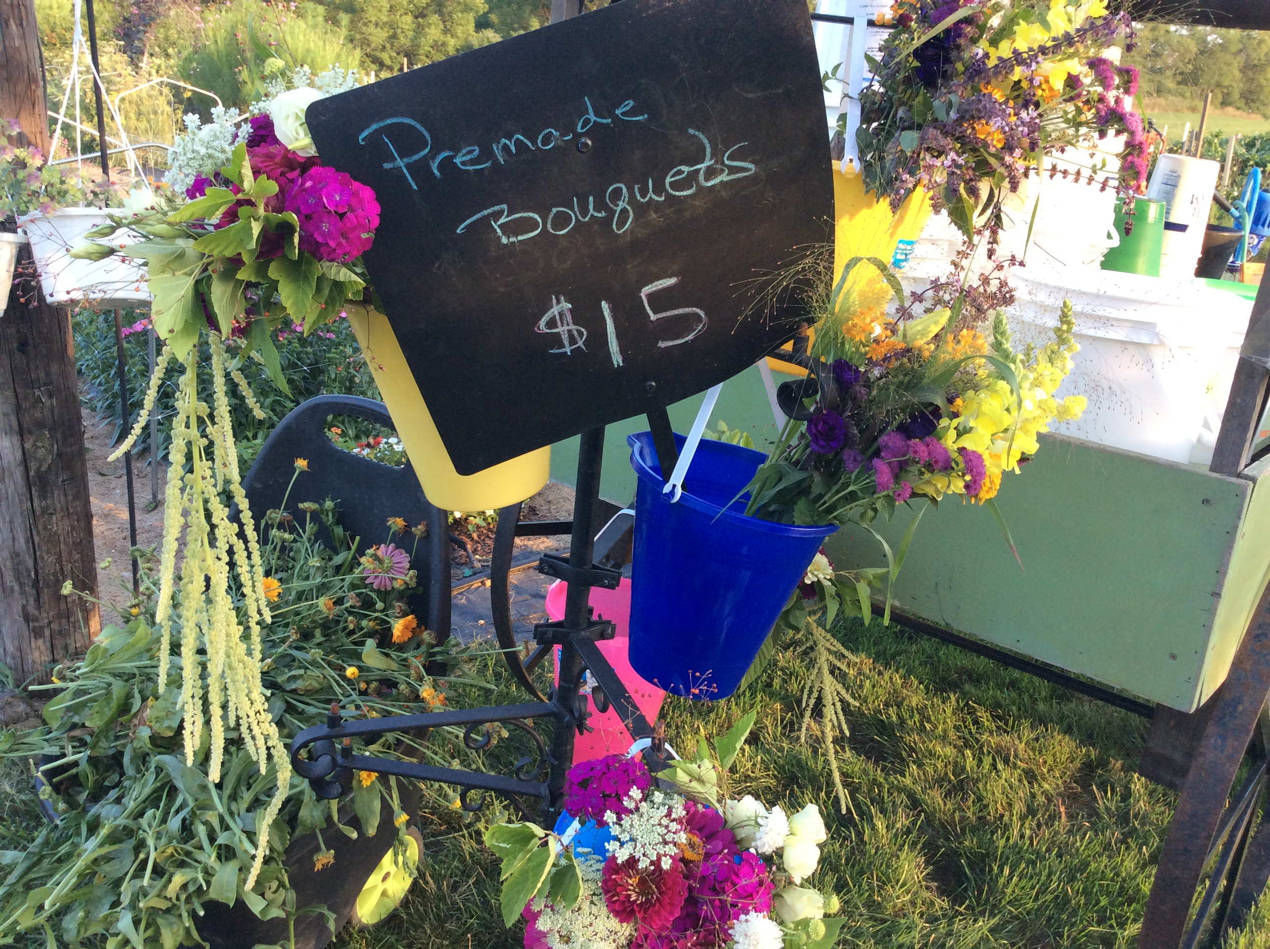 Pick Your Own Flowers at Hope Valley Gardens SHIP SAVES