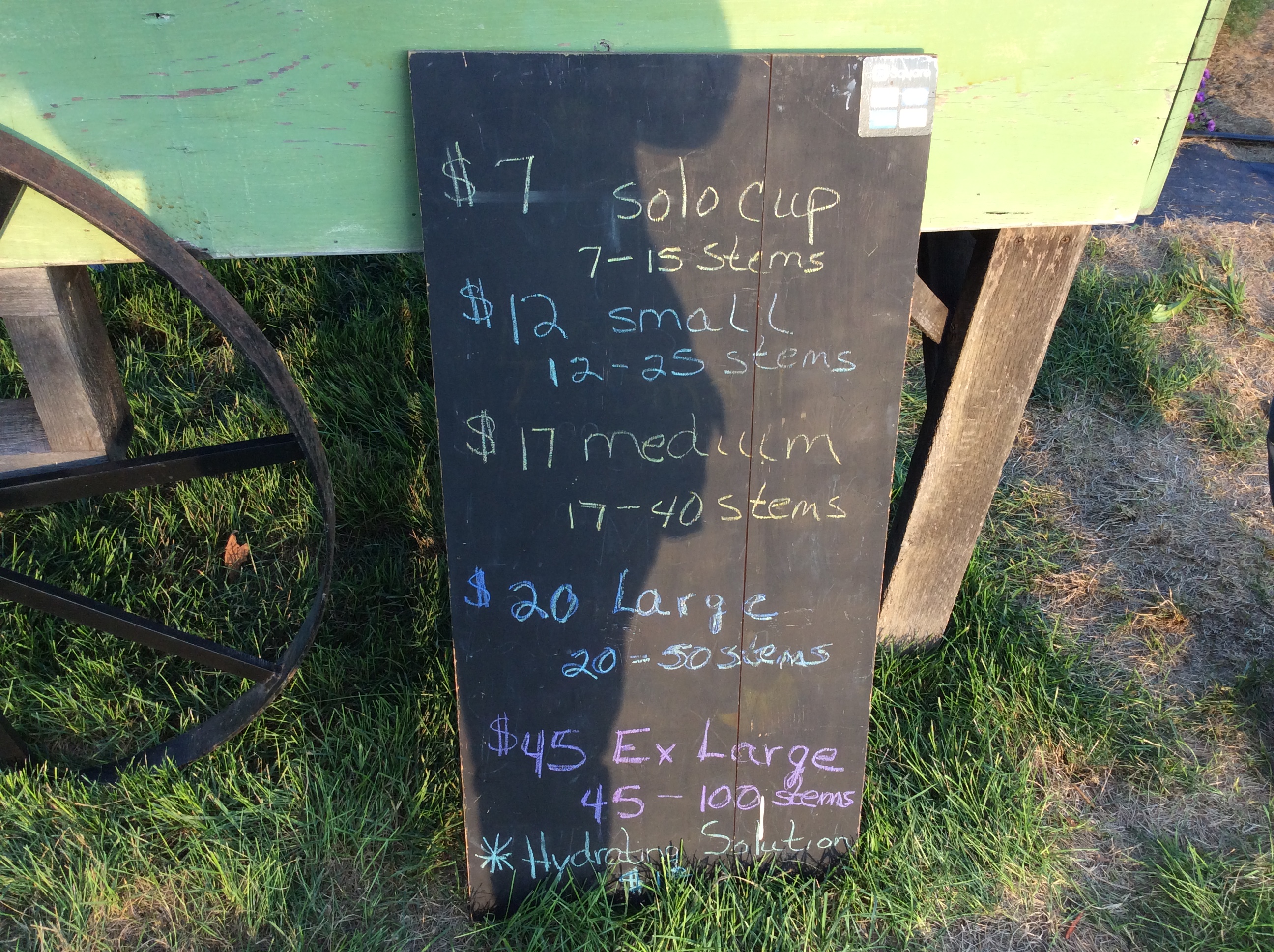 Pick Your Own Flowers at Hope Valley Gardens SHIP SAVES