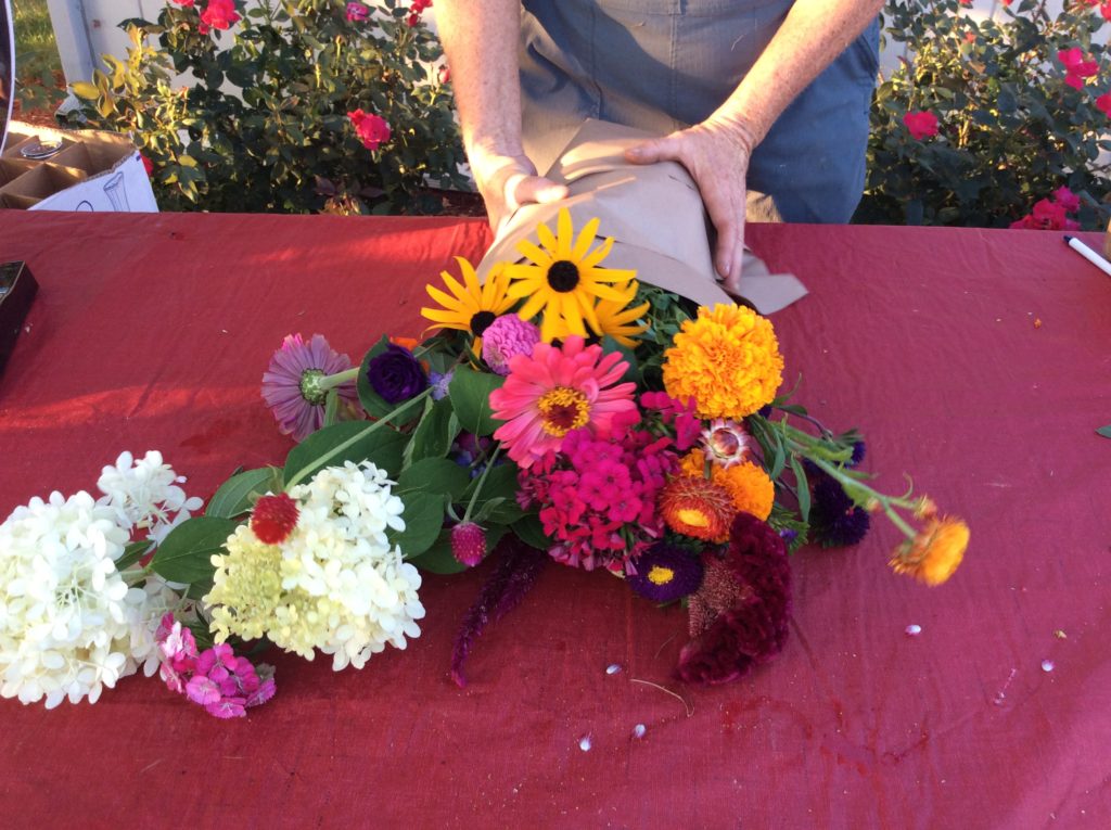 Pick Your Own Flowers at Hope Valley Gardens SHIP SAVES