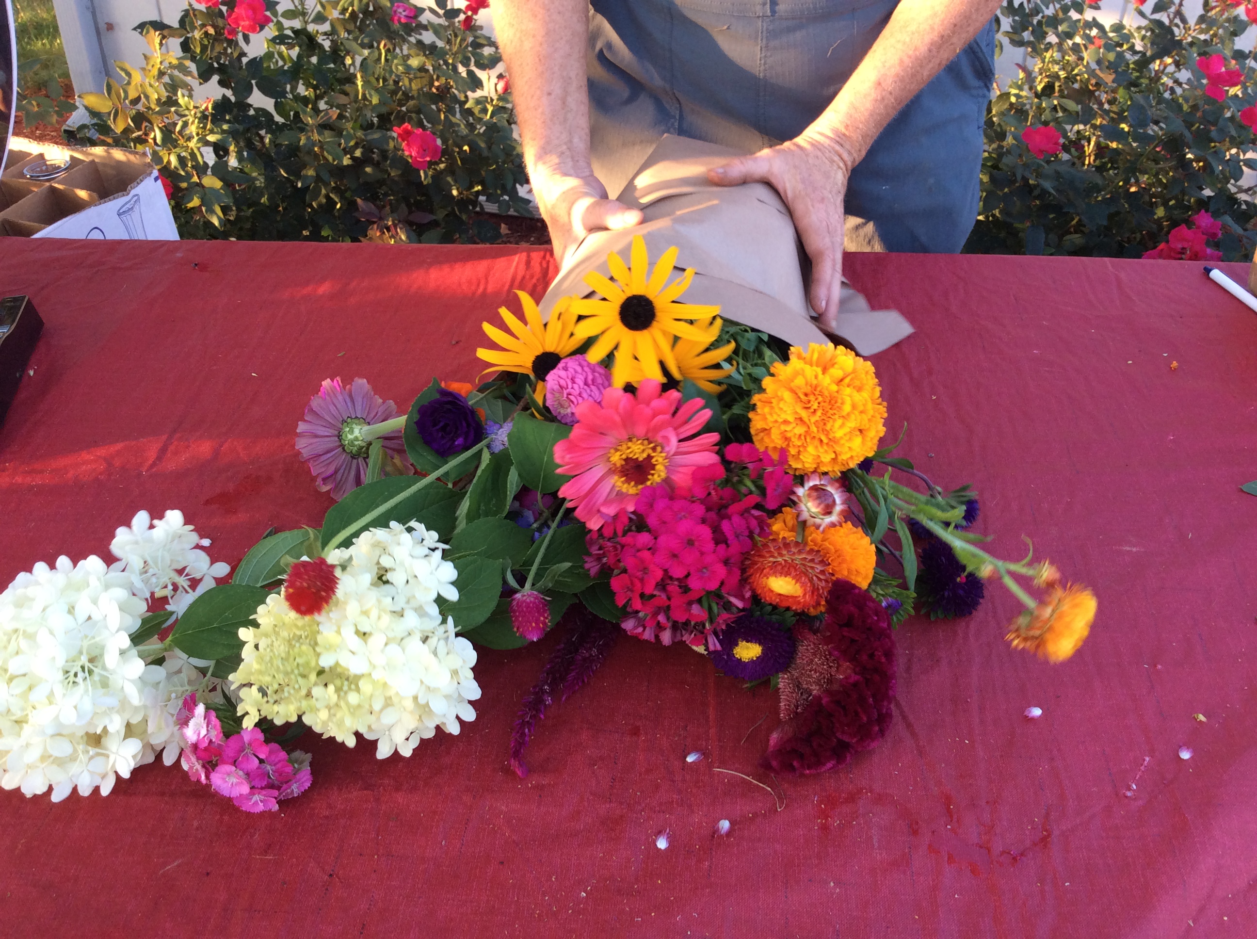 Pick Your Own Flowers at Hope Valley Gardens SHIP SAVES