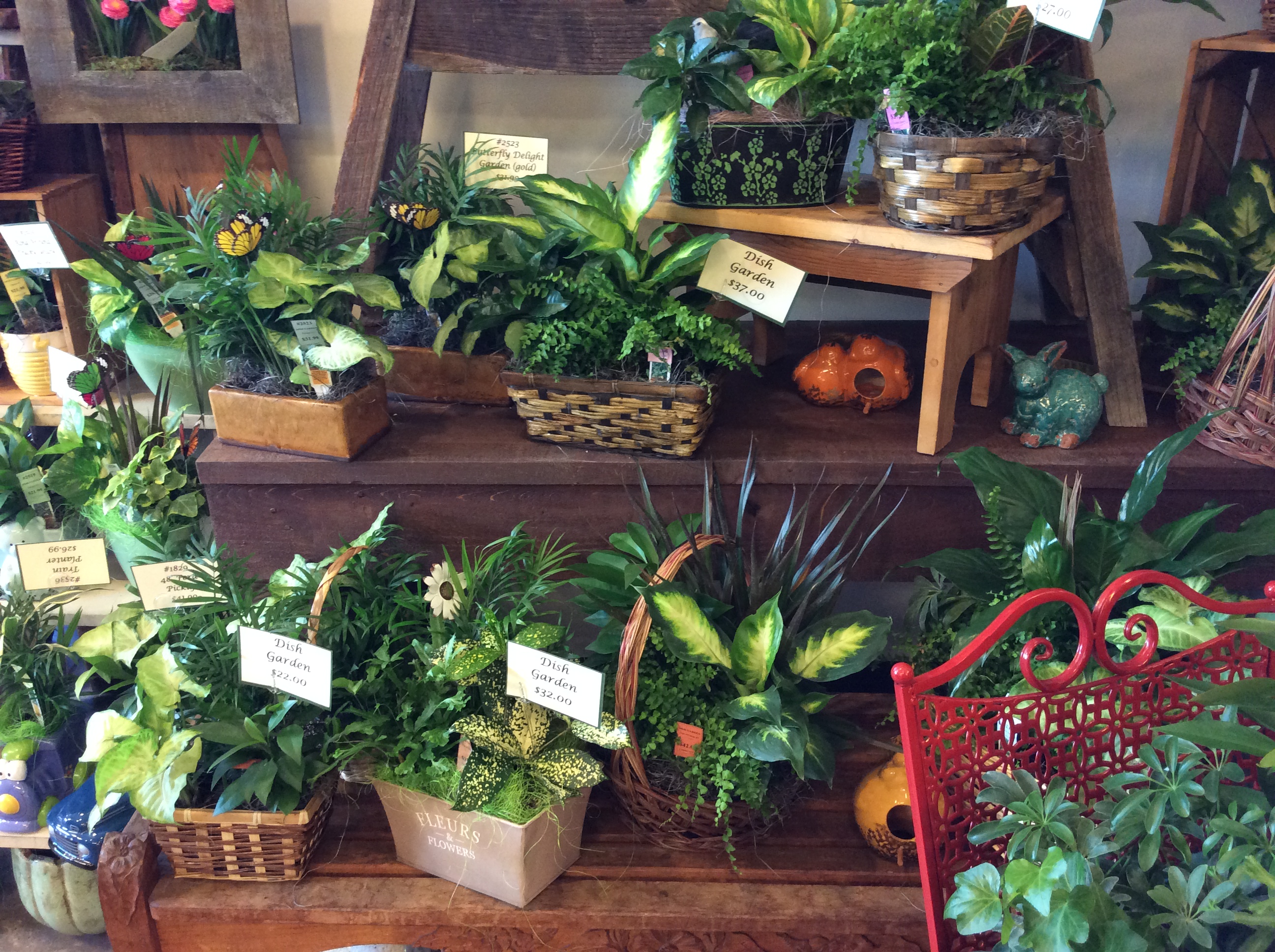 Royer’s Flowers in Chambersburg Grand Opening Specials SHIP SAVES