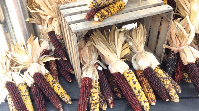 2023 shippensburg corn festival Shippensburg Corn Festival August 26 SHIP SAVES