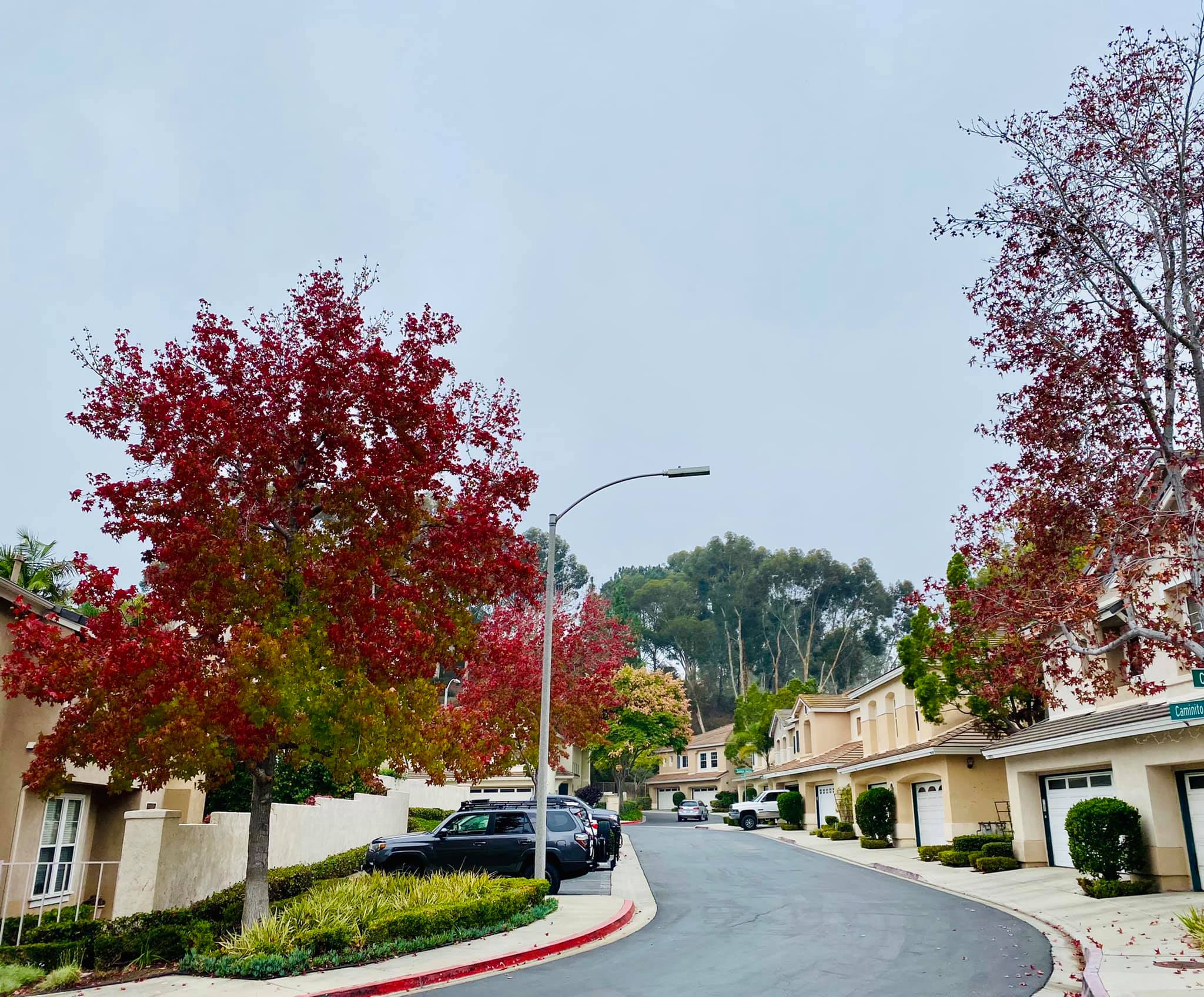 Showing Homes in Carmel Valley! My Clients are Often the First Ones to