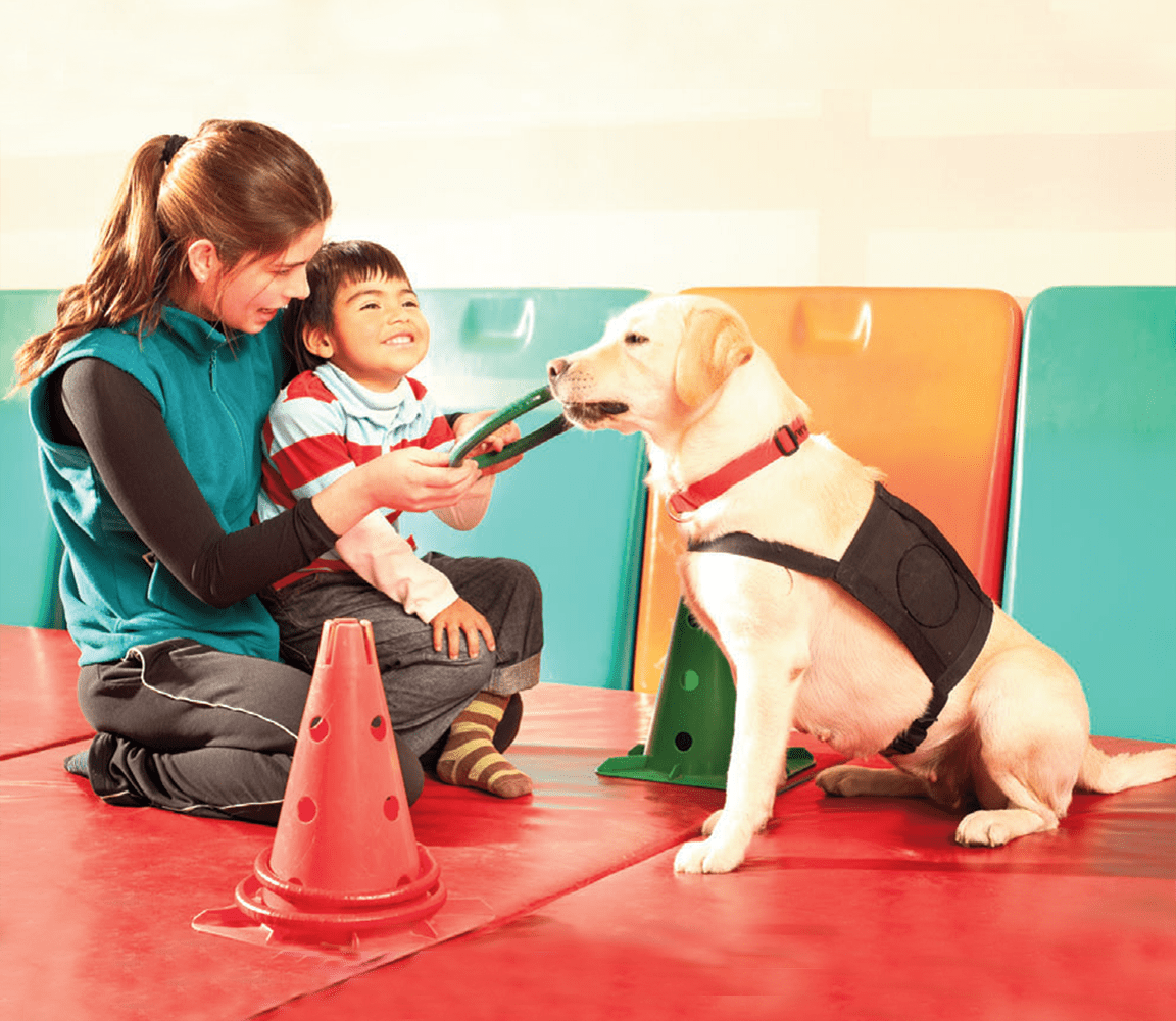 Dog Therapy in Autism SHIVASShining Hope In Vital Autism Society