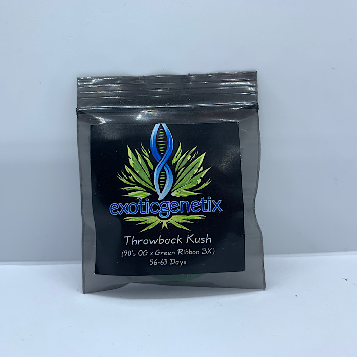 Lot 1036 Exotic ThrowBack Kush (90’s OG x Green Ribbon Bx