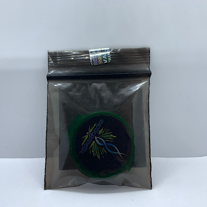 Lot 1104 Exotic Lime Skunk (Lemon Skunk x Green Ribbon BX) {REG