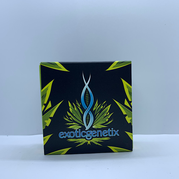 Lot 1114 Exotic Cherry Cosmo (Red Pop X Bakers Dozen) {FEM} [pk