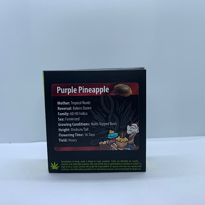 Lot 1129 Exotic Purple Pineapple (Tropical Runtz x Bakers Dozen