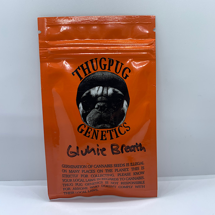 Lot 1173 Thug Pug GLUKIE BREATH (Gorilla Glue 4 x Girl Scout