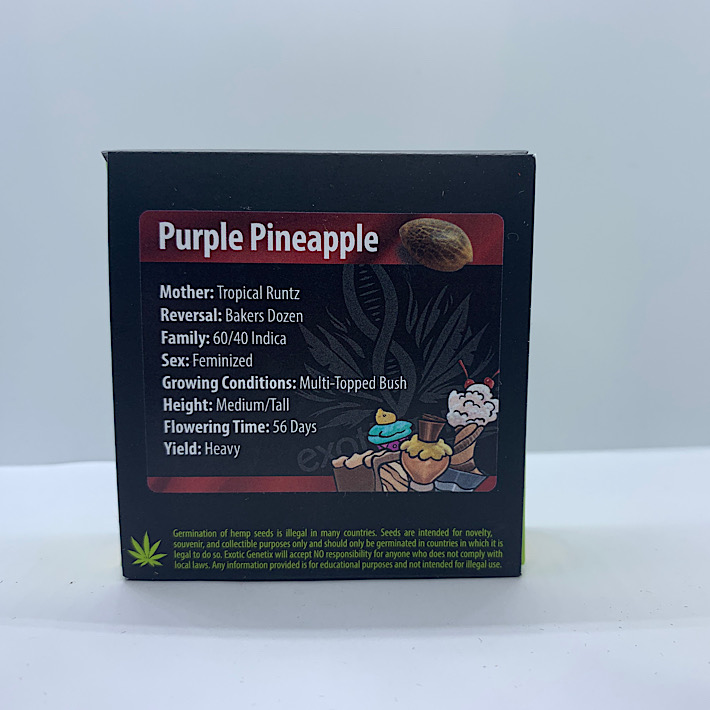 Lot 1200 Exotic Purple Pineapple (Tropical Runtz x Bakers Dozen