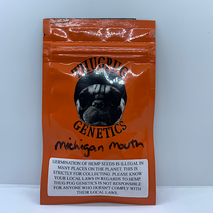 Lot 1245 Thug Pug Michigan Mouth (Cherry Pie Breath x Mendo