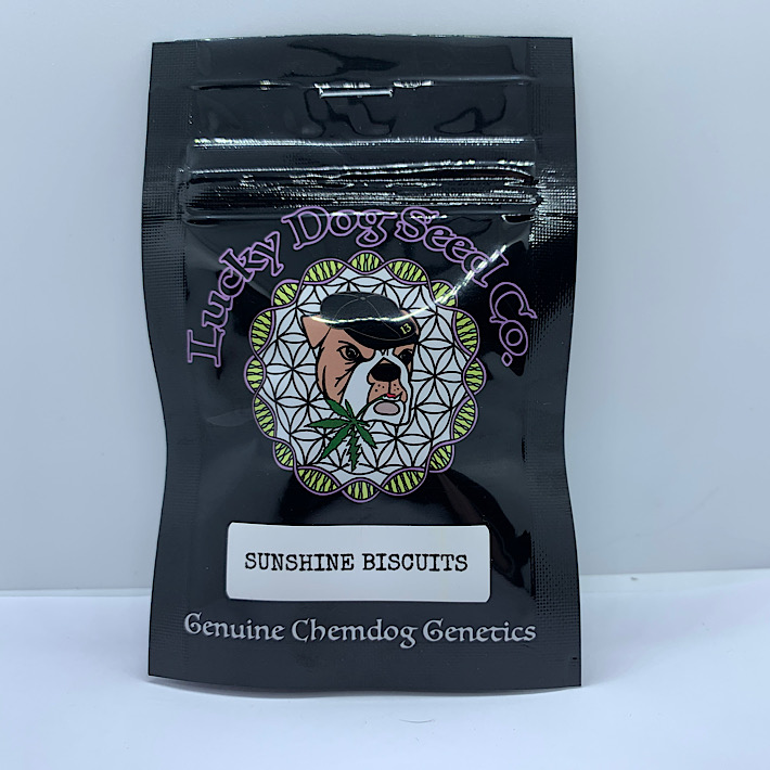 Lot 1460 Lucky Dog Seed Co Sunshine Biscuits ((Cherry AK x Chemdog91