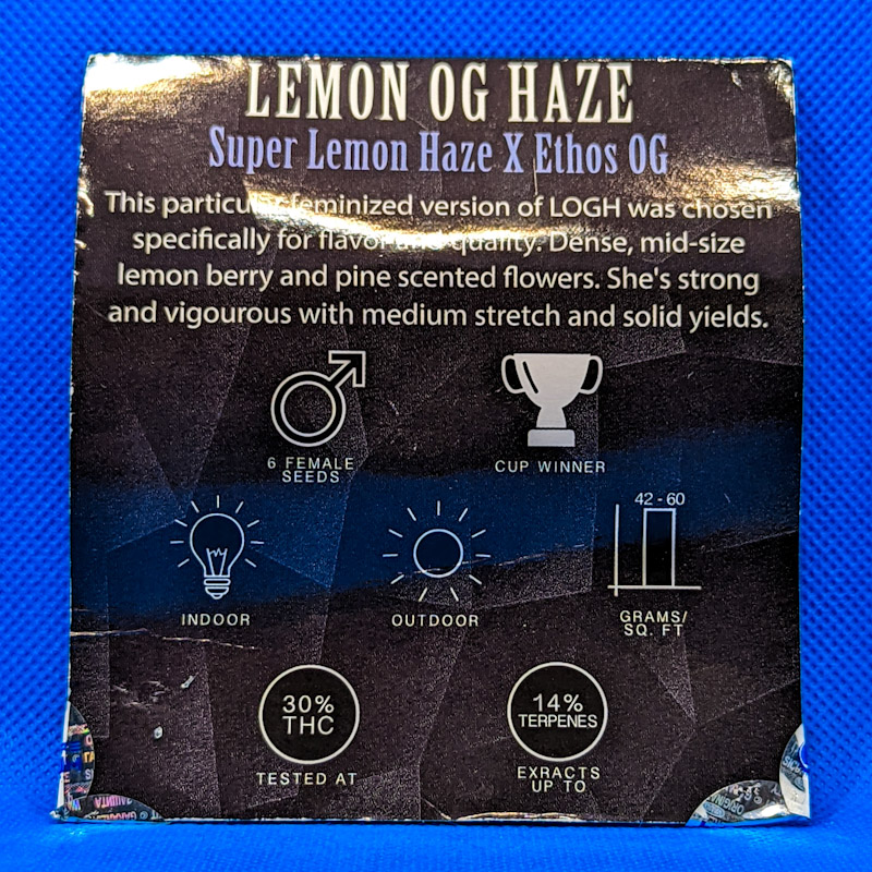 Lot 296 Ethos Lemon OG Haze (Super Lemon Haze x Ethos OG) [Fem] [6pk