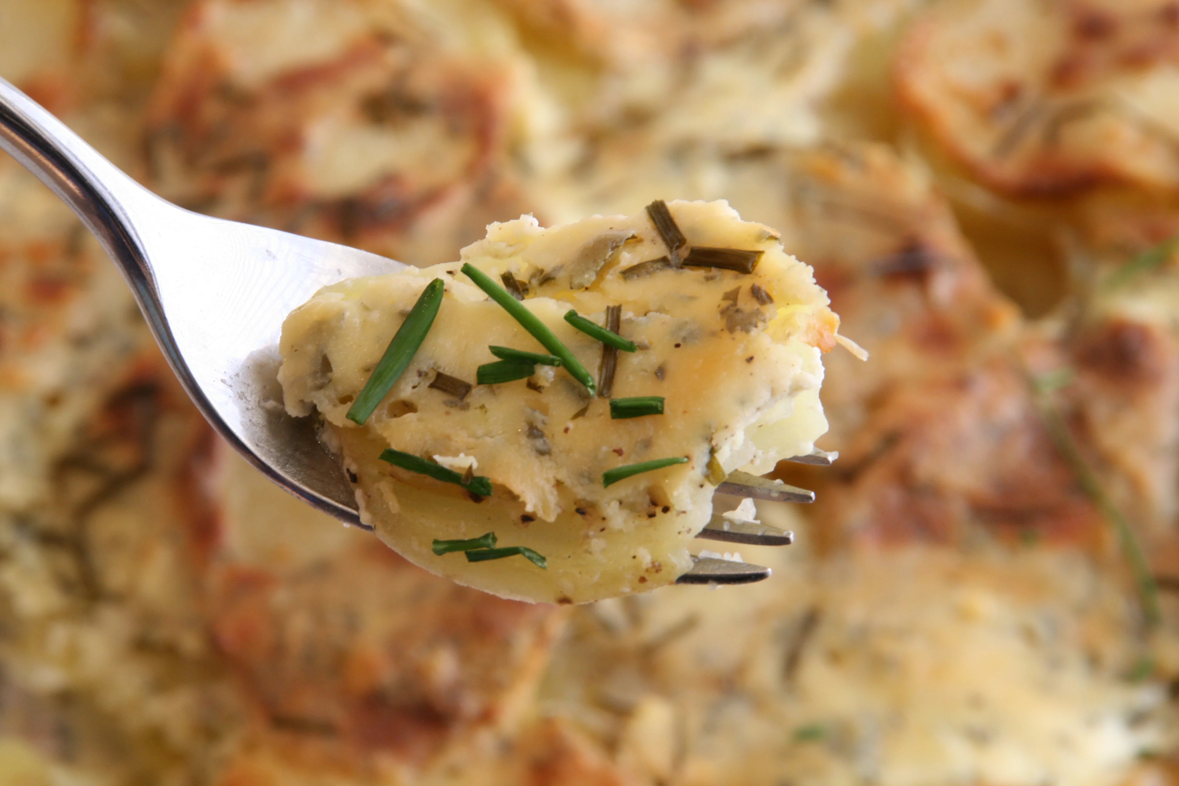 Garlic and Herb Potato Gratin and a Foodie Thanksgiving