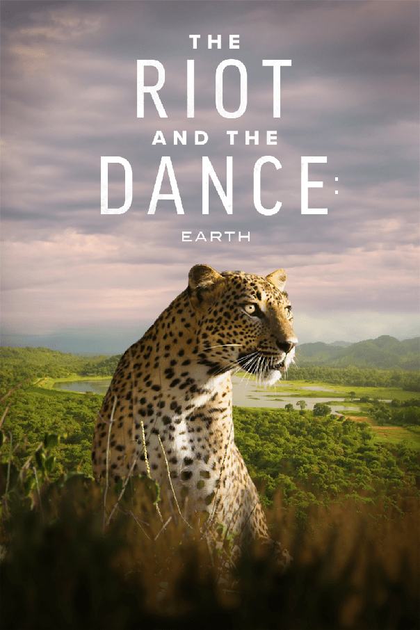 Dr. Gordon Wilson Celebrates the Star Tortoise in The Riot and the