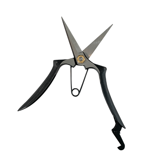 Buy Bud Trimming Scissors “Pointy Small” Shokunin Store