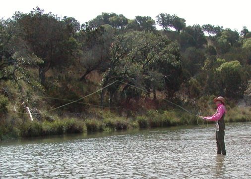 Rainbow Trout Fishing near Fredericksburg Texas • Shonto Ranch Hunting