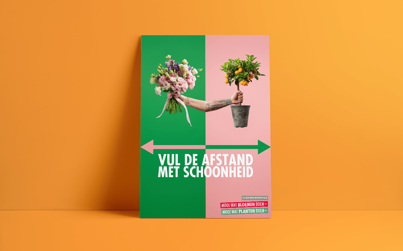 Flower Council Holland Shop Around