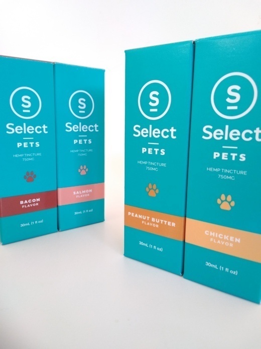 CBD for Pets Delivered Shop CBD Now