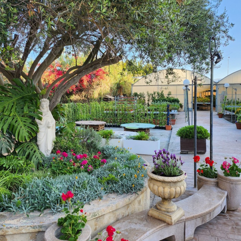 Innovative Greens Malta, Garden Centres Malta Shopper Lottery Malta