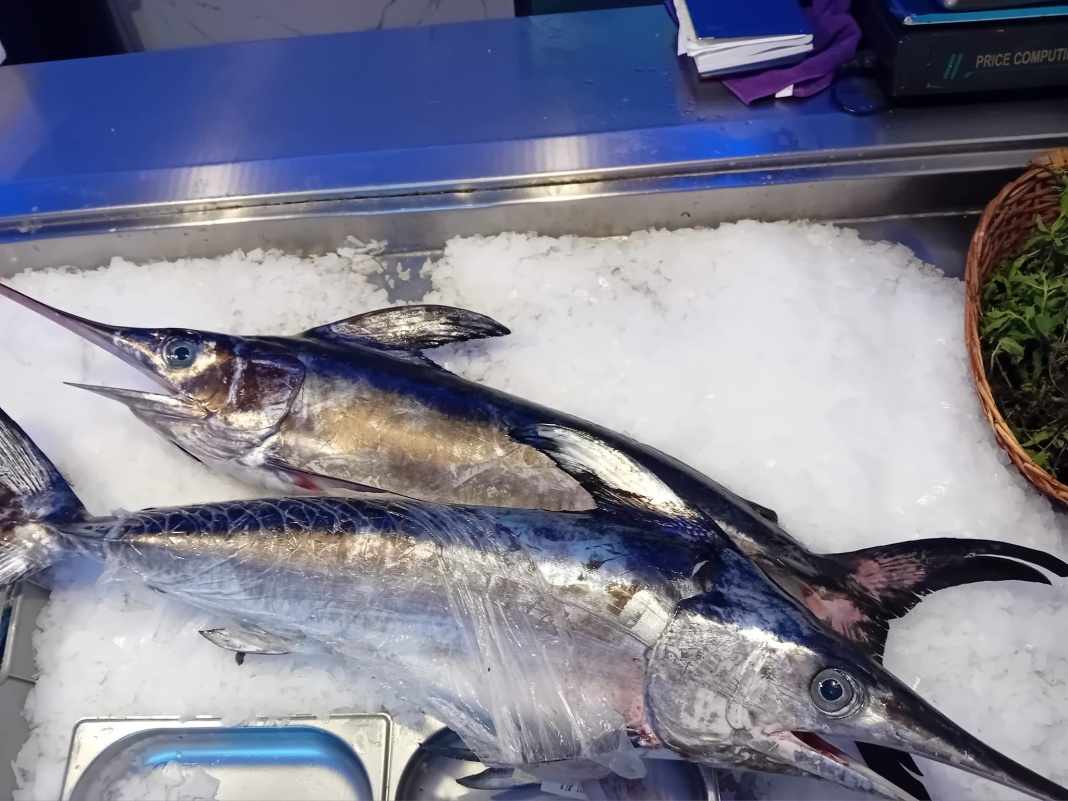 Agius Fish Shop Malta, Fish Shops Malta Shopper Lottery Malta