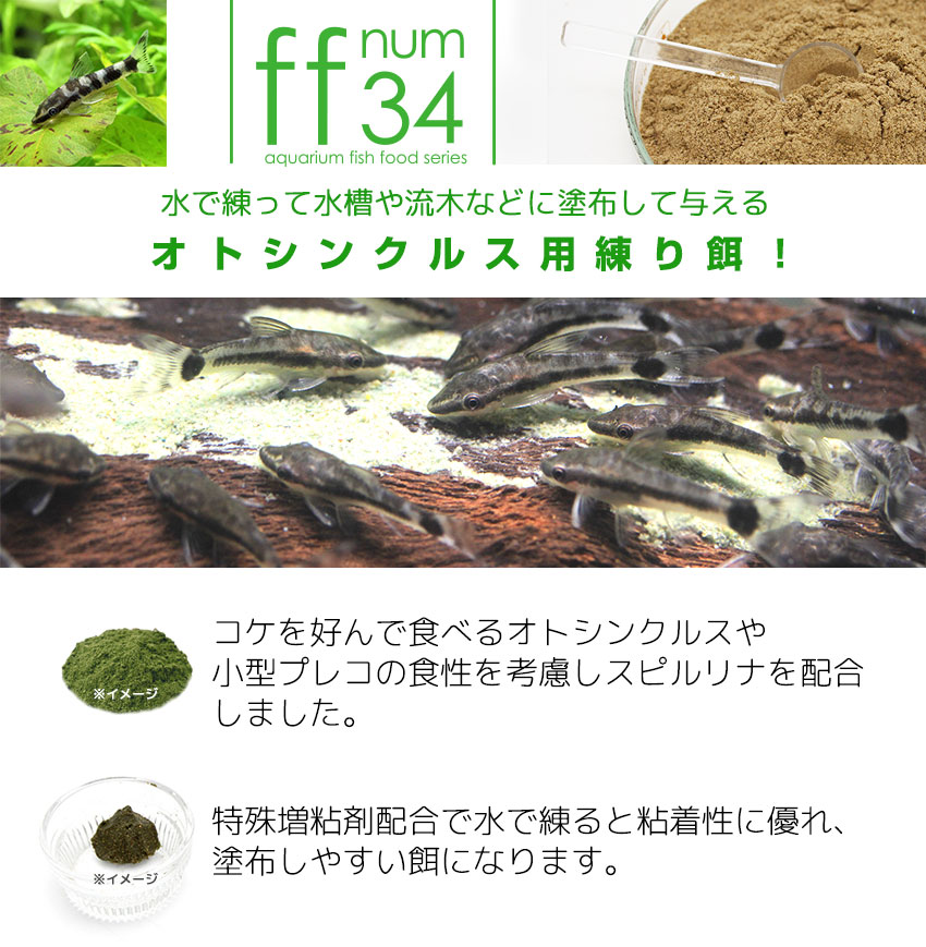 √ オトシンクルス 餌 自作 439476オトシンクルス 餌 自作