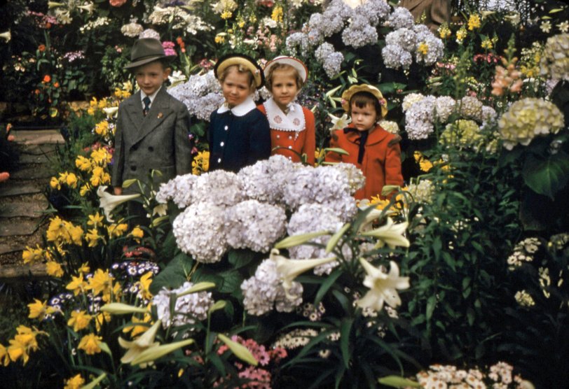 Garfield Park, Easter 1953 Shorpy Old Photos Photo Sharing