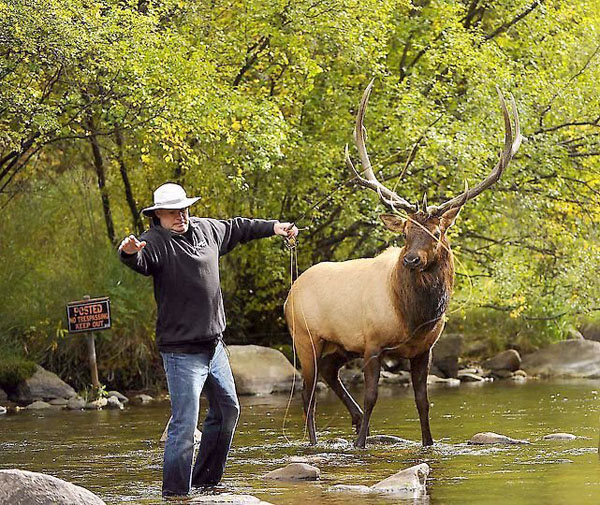 Shortarmguy's Crazy Emails Fly Fishing in Estes Park, Colorado
