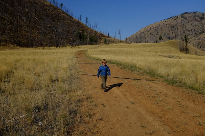 SOLDIER BAR USFS, ID shortfield