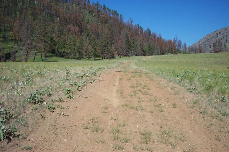 SOLDIER BAR USFS, ID shortfield