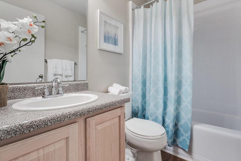 317 Lynn Rd, Raleigh, NC 27609 Shortterm Lease Apartments Furnished