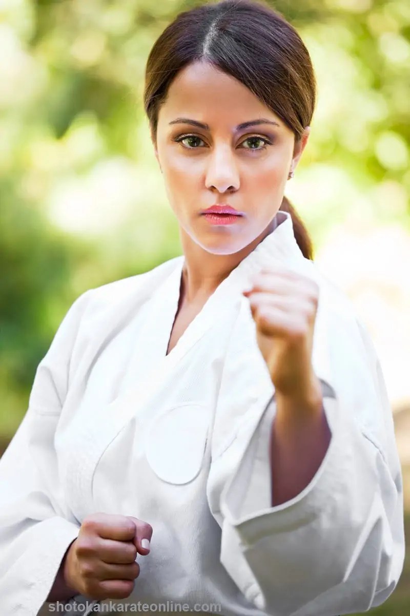 Learn Shotokan Karate Online From The Comfort Of Your Home