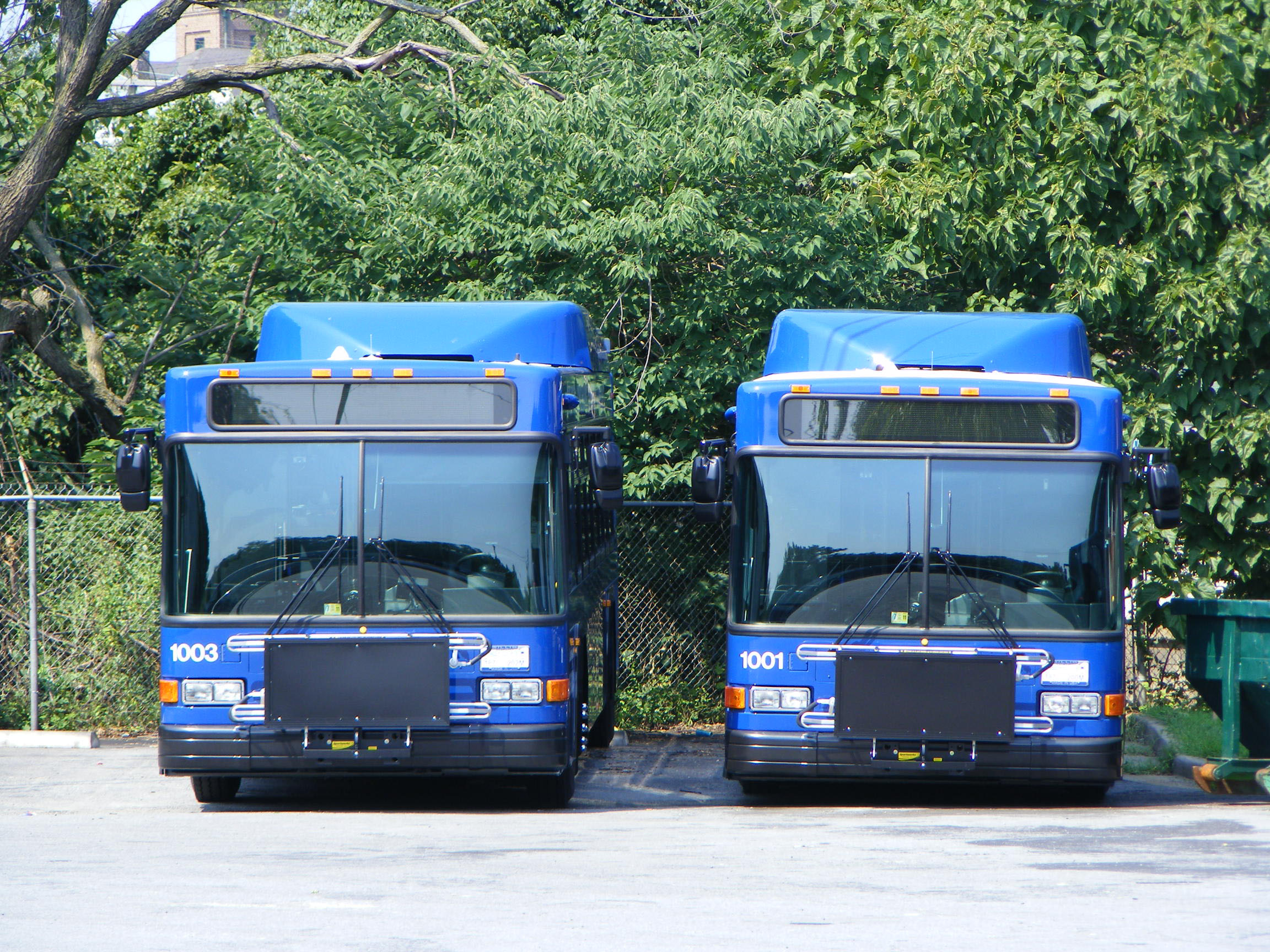 Greater Lynchburg Transit Company SHOWBUS INTERNATIONAL BUS IMAGE