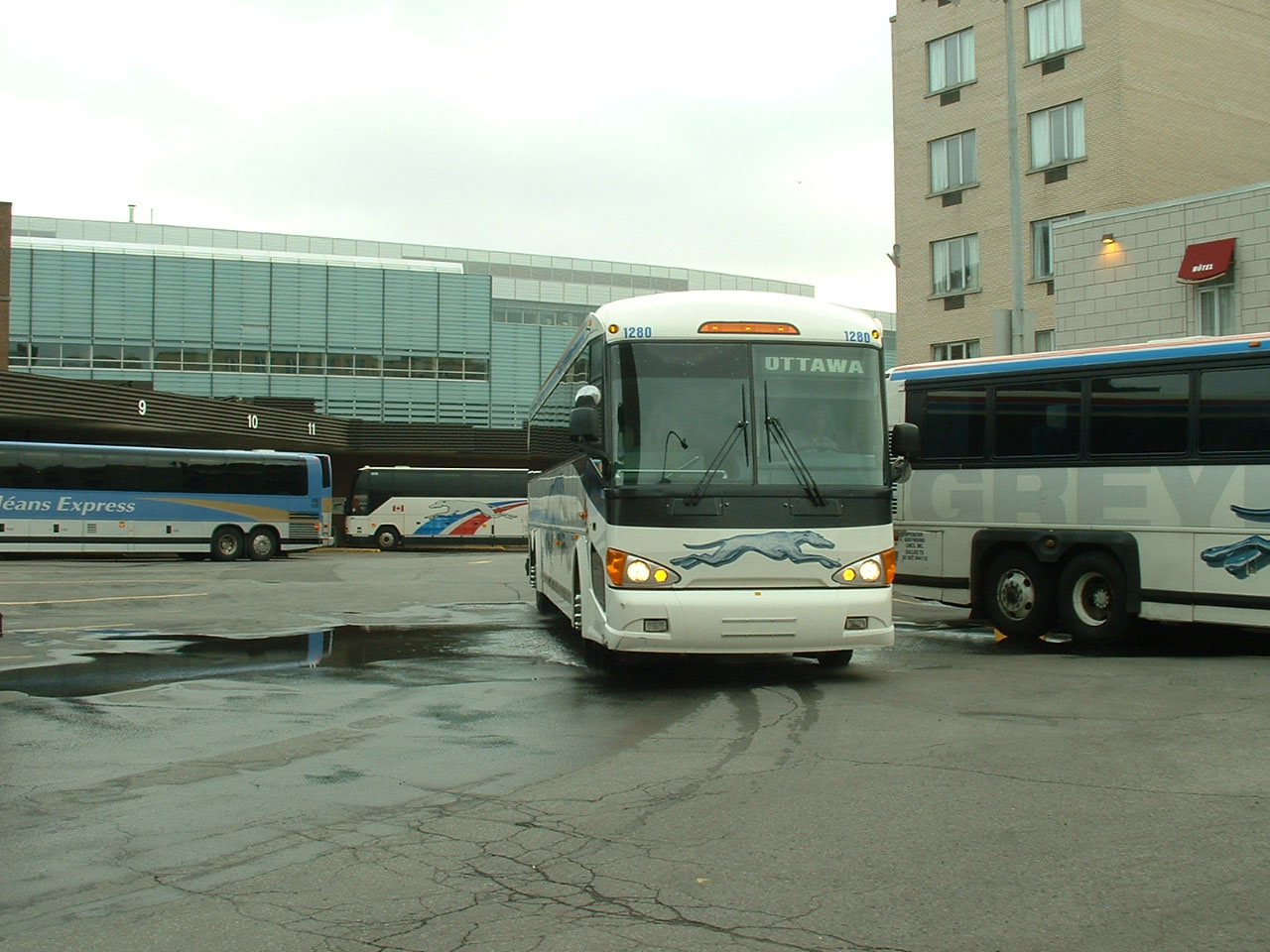 Greyhound Canada SHOWBUS international BUS IMAGE GALLERY Canada