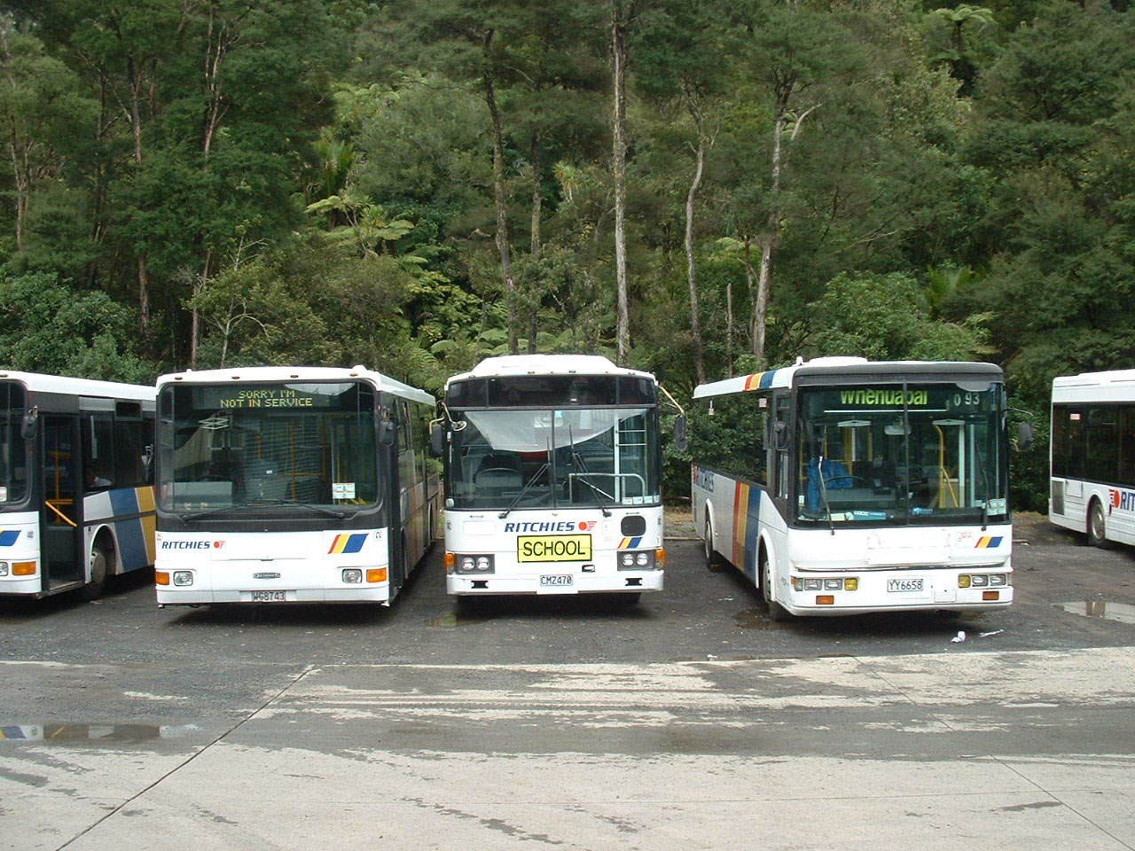 Ritchies Coaches SHOWBUS BUS IMAGE GALLERY