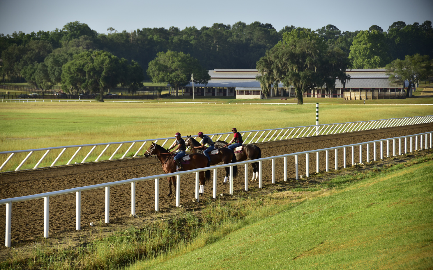 Iconic Horse Farms Bridlewood Farm Showcase Ocala