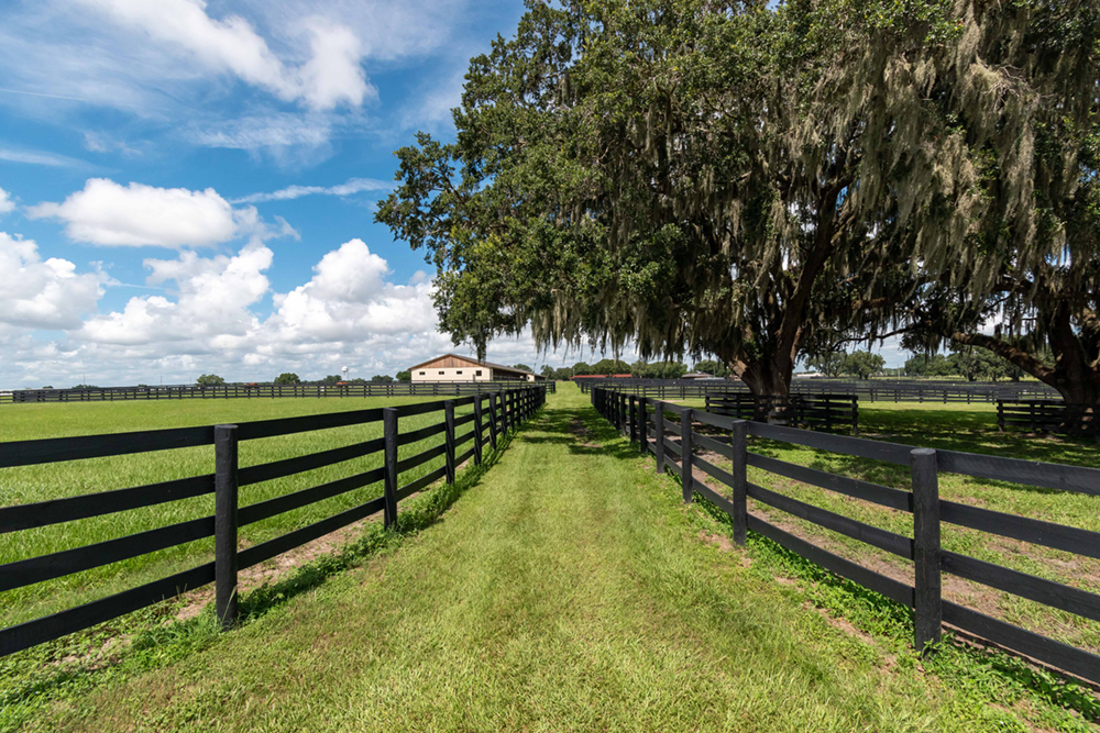 Iconic Horse Farms Winding Oaks Farm Showcase Ocala
