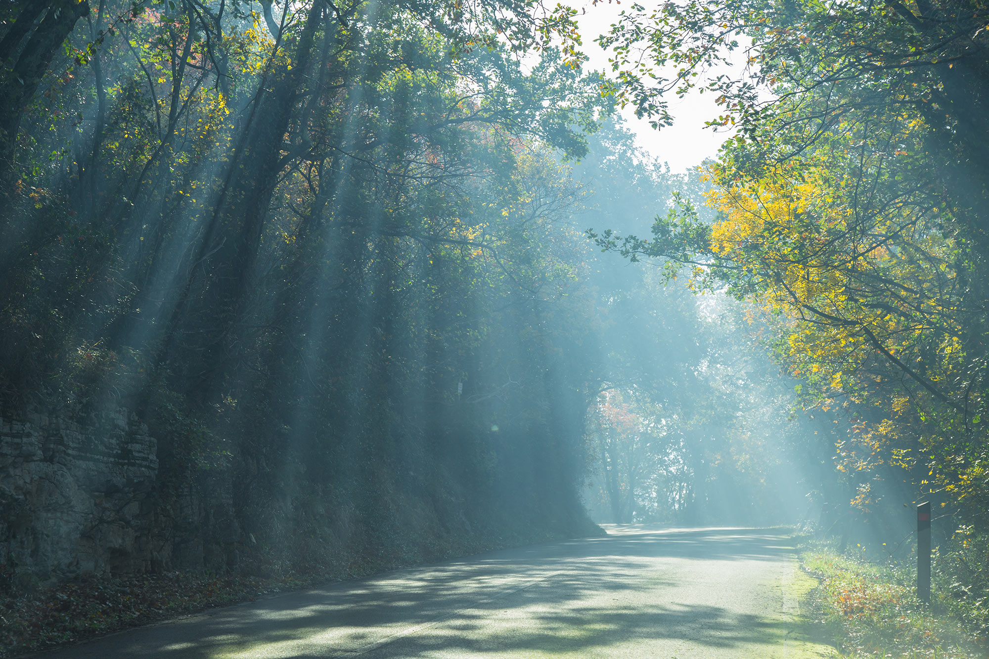 Citrus County Real Estate & Homes for Sale Showcase Properties