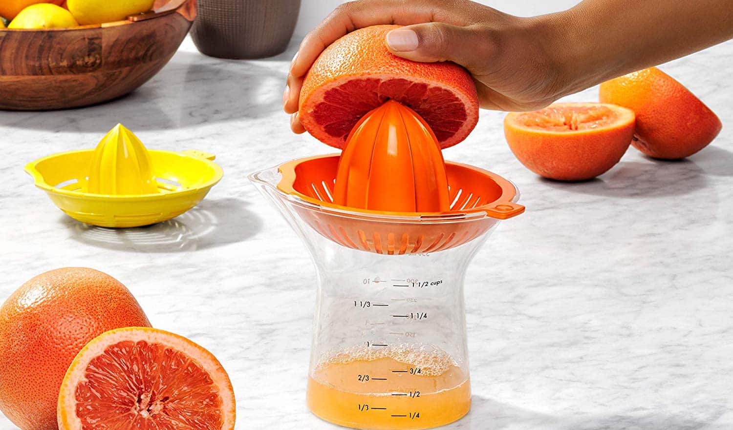 Top 10 Best Citrus Juicers in 2020 Reviews Show Guide Me