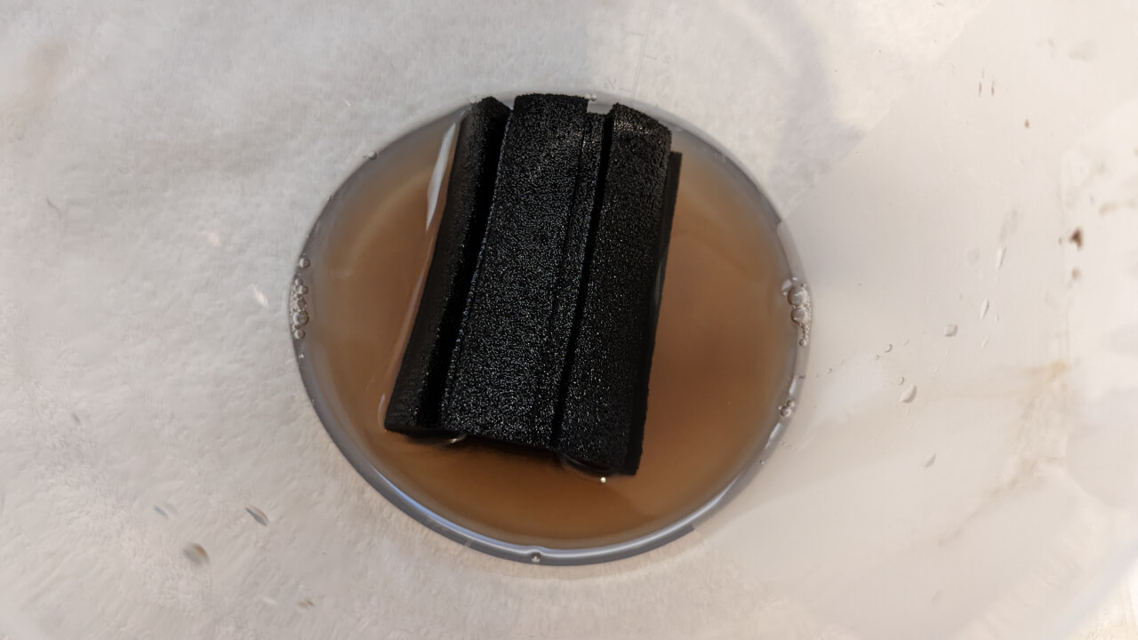 How To Clean a Shrimp Tank Sponge Filter | Shrimp Science