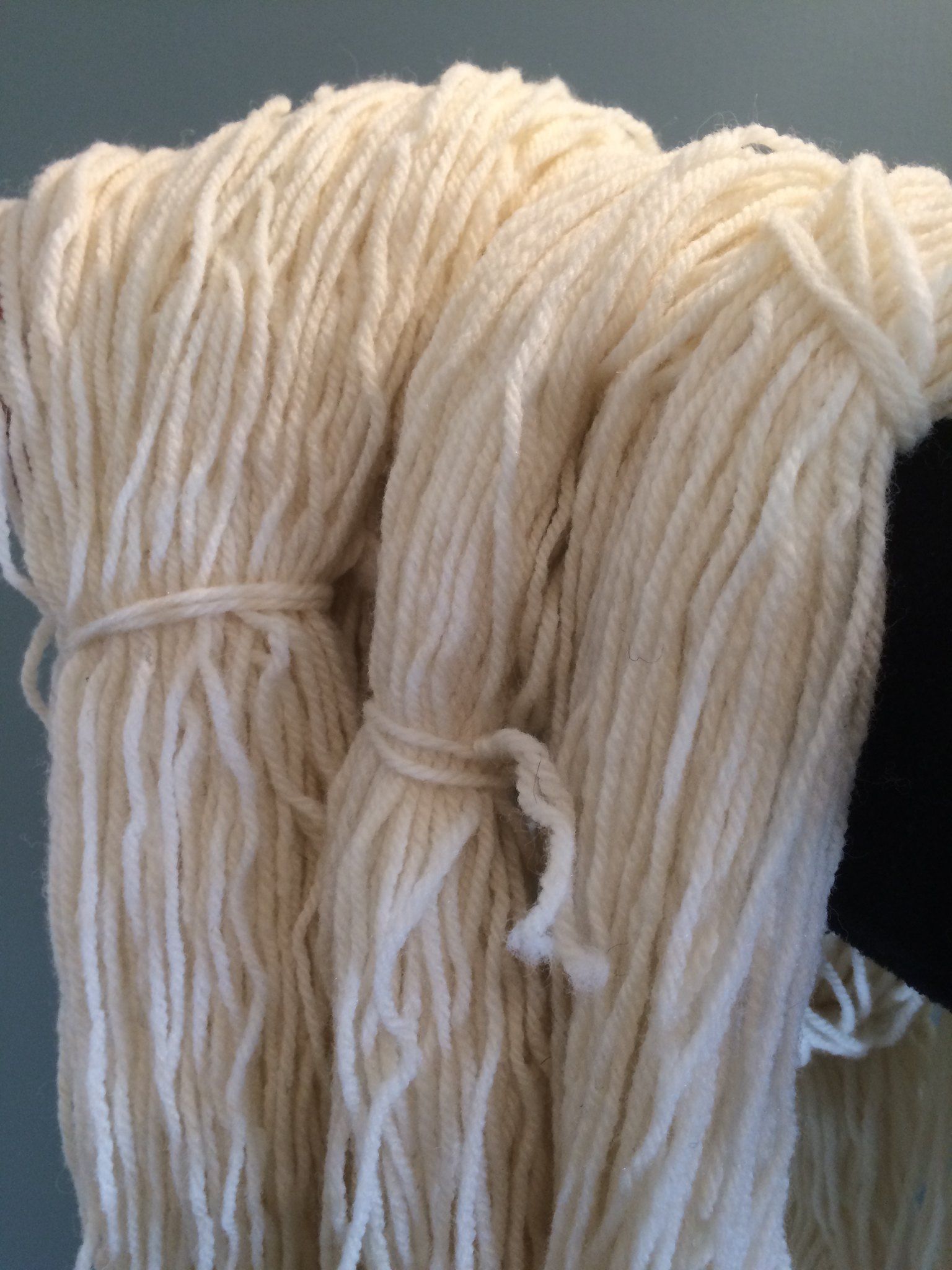 Shropshire Wool Shropshire Sheep