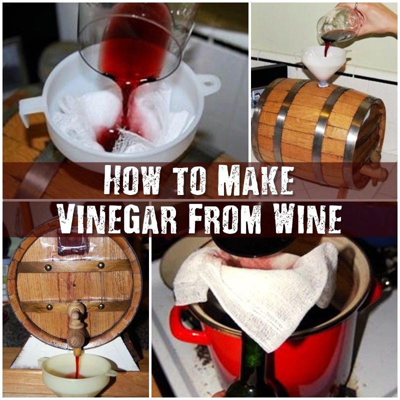 How to Make Vinegar From Wine SHTF Prepping & Homesteading Central