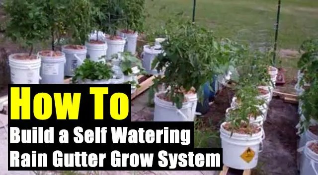 How to Build a Self Watering Rain Gutter Grow System SHTF & Prepping