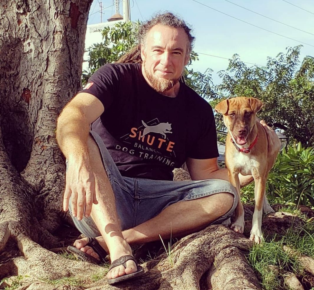 Testimonials Shute Balanced Dog Training