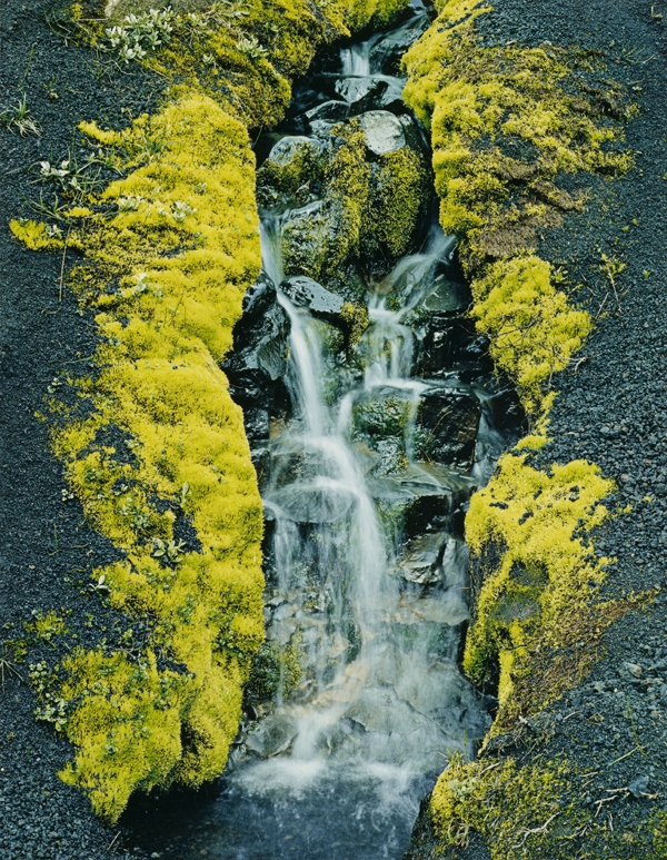 Eliot Porter The Great Colorist Eliot Porter