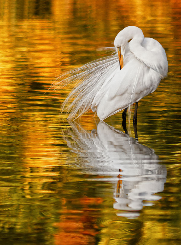 Tamron/ Shutterbug Nature Photography Contest Winners Shutterbug