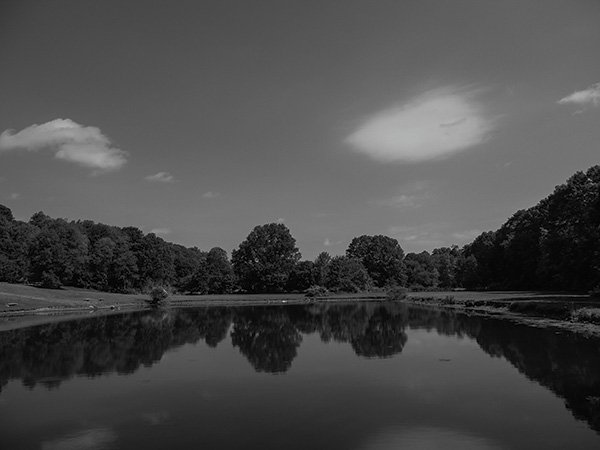 Getting Black and White From Color: How To Use Color Filters To Create