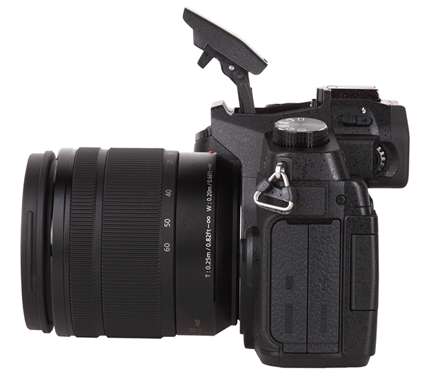 Panasonic Lumix DMCG85 Mirrorless Camera Review Shutterbug