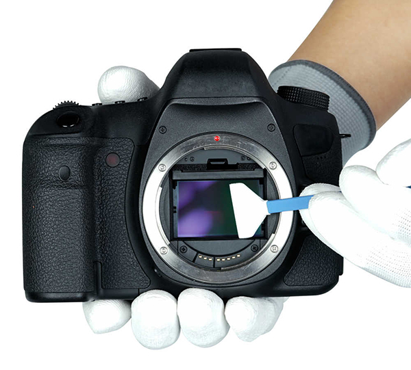 Full Frame Digital Cameras The Most Important Imaging Trend of the